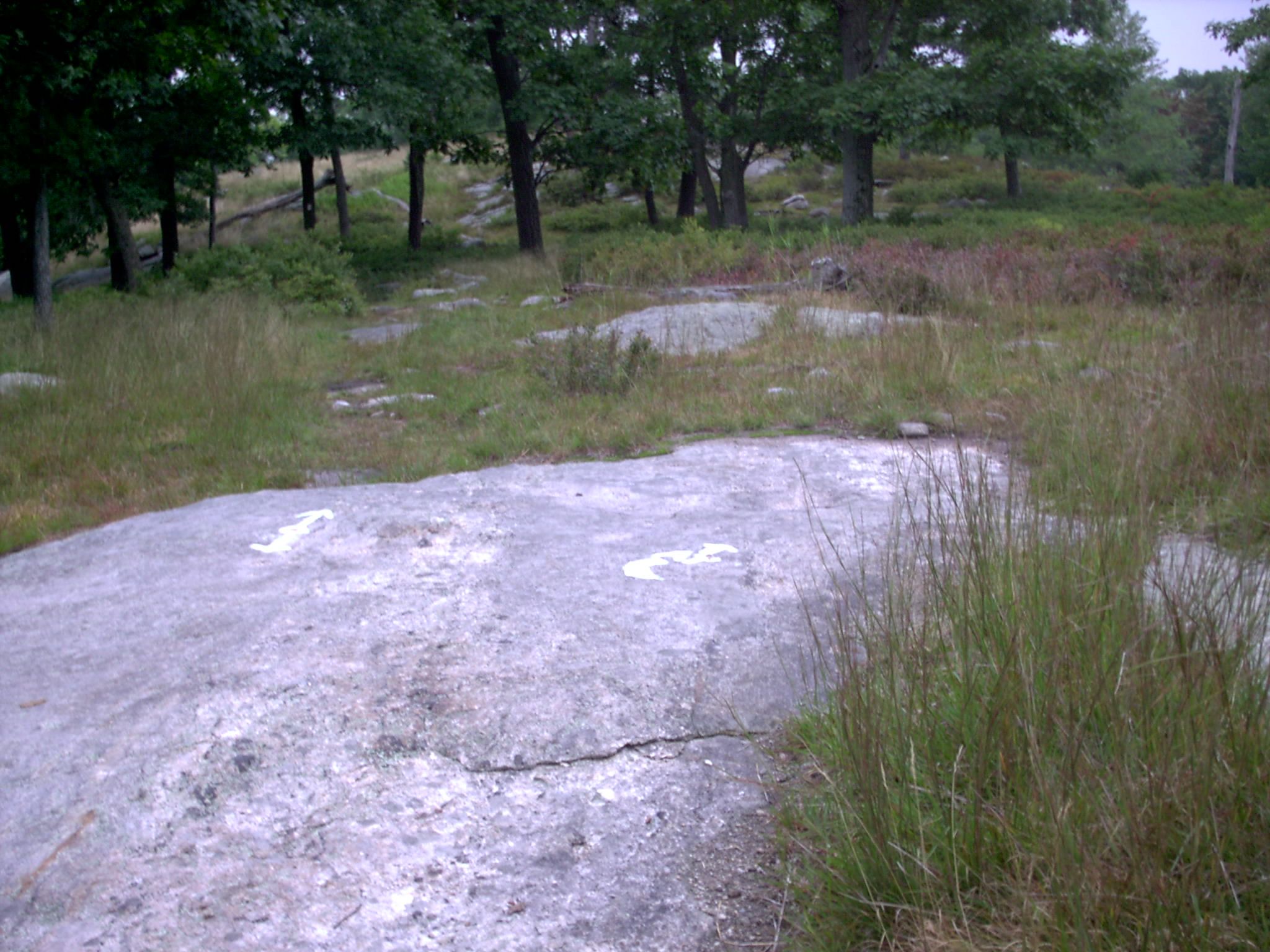 mm 1.2 - The junction of the Ramapo-Dunderberg Trail with the AT on a slickrock on top of Fingerboard Mt., about .1 miles south of Fingerboard shelter.  Courtesy stewartriley@earthlink.net